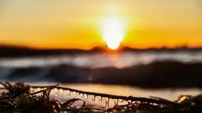 Wschód słońca nad jeziorem Gołdopiwo - zdjęcie 53