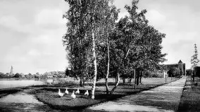 Przedwojenne zdjęcia Szczytna (Ortelsburg) - zdjęcie 170