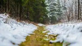 Zimowa szarówka w okolicach Kruklina, Gawlika Małego i Wydmin - zdjęcie 67