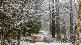 Zimowa szarówka w okolicach Kruklina, Gawlika Małego i Wydmin - zdjęcie 15