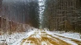 Zimowa szarówka w okolicach Kruklina, Gawlika Małego i Wydmin - zdjęcie 64