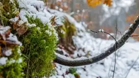 Zimowa szarówka w okolicach Kruklina, Gawlika Małego i Wydmin - zdjęcie 29