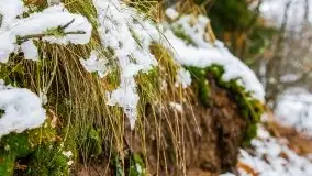 Zimowa szarówka w okolicach Kruklina, Gawlika Małego i Wydmin - zdjęcie 44