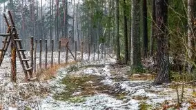 Zimowa szarówka w okolicach Kruklina, Gawlika Małego i Wydmin - zdjęcie 41