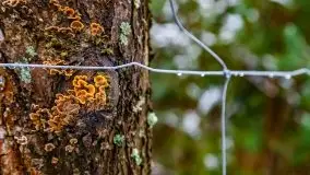 Zimowa szarówka w okolicach Kruklina, Gawlika Małego i Wydmin - zdjęcie 42