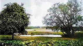 Przedwojenne pokolorowane zdjęcia Sztynortu (Steinort) - zdjęcie 9