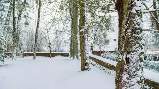 Posypało na Mazurach - zobacz okolice wsi Gajrowskie i Orłowo - zdjęcie 3