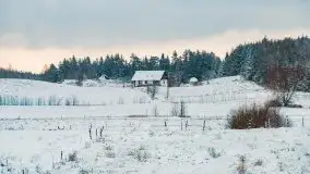 Posypało na Mazurach - zobacz okolice wsi Gajrowskie i Orłowo - zdjęcie 8