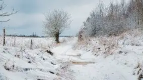 Posypało na Mazurach - zobacz okolice wsi Gajrowskie i Orłowo - zdjęcie 1