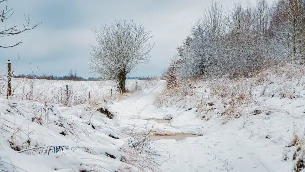 Posypało na Mazurach - zobacz okolice wsi Gajrowskie i Orłowo - zdjęcie 1