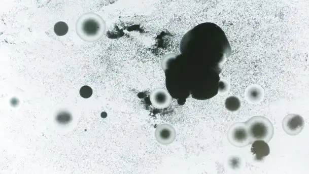 Miłośnicy Mazur - zimowe zdjęcia Szczytna - zdjęcie 7