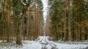 Zima nad jeziorem Wesołek, okolice Rucianej Nidy - zdjęcie 28