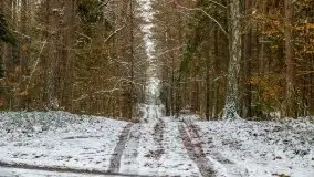 Zima nad jeziorem Wesołek, okolice Rucianej Nidy - zdjęcie 47