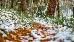 Zima nad jeziorem Wesołek, okolice Rucianej Nidy - zdjęcie 41