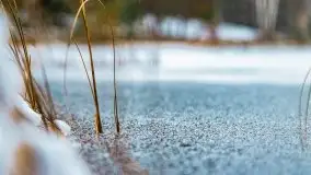 Zima nad jeziorem Wesołek, okolice Rucianej Nidy - zdjęcie 42