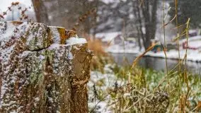 Zimowa szarówka w Rucianem-Nidzie - zdjęcie 11