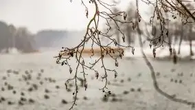 Zimowa szarówka w Rucianem-Nidzie - zdjęcie 34