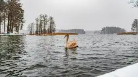 Zimowa szarówka w Rucianem-Nidzie - zdjęcie 12
