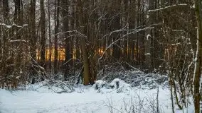 Zimowy zachód słońca między jeziorem Dargin i Sztynorckie - zdjęcie 2