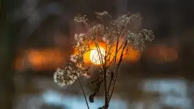 Zimowy zachód słońca między jeziorem Dargin i Sztynorckie - zdjęcie 12