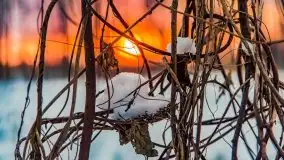 Zimowy zachód słońca między jeziorem Dargin i Sztynorckie - zdjęcie 16