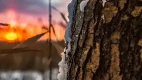 Zimowy zachód słońca między jeziorem Dargin i Sztynorckie - zdjęcie 18