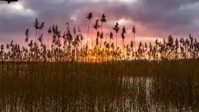 Zimowy zachód słońca między jeziorem Dargin i Sztynorckie - zdjęcie 21