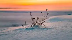 Zimowy wschód słońca nad jeziorem Dargin i... -27 stopni - zdjęcie 26