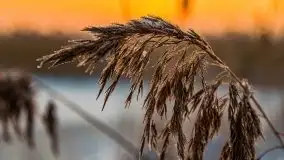 Zimowy wschód słońca nad jeziorem Dargin i... -27 stopni - zdjęcie 7