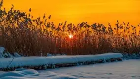 Zimowy wschód słońca nad jeziorem Dargin i... -27 stopni - zdjęcie 99