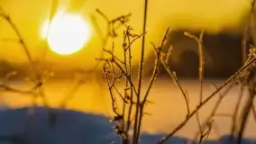 Zimowy wschód słońca nad jeziorem Dargin i... -27 stopni - zdjęcie 98