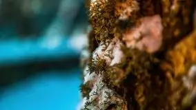 Zachód słońca nad jeziorem Święcajty, Cmentarz wojenny Jagerhohe - zdjęcie 30