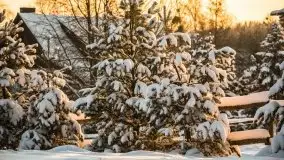 Mazurska zima na zdjęciach Staszka Sielewicza - zdjęcie 48