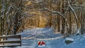 Zimowa i bajkowa sceneria w hotelu Tajty nad j. Tajty - zdjęcie 24