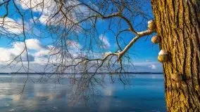 Zimowy Dargin i port Nowy Harsz - zdjęcie 15