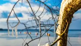 Zimowy Dargin i port Nowy Harsz - zdjęcie 47