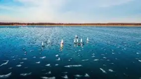 Bojery na jeziorze Dargin 2021 cz. 1 - zdjęcie 28