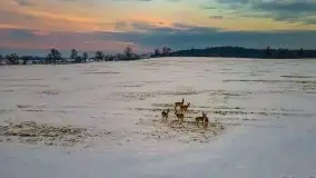 Wschód słońca w okolicach Sztynortu, zima 2021 - zdjęcie 5