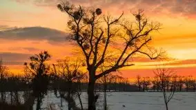 Wschód słońca w okolicach Sztynortu, zima 2021 - zdjęcie 12