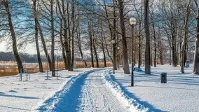 Port w Sztynorcie w zimowej scenerii, styczeń 2021 r. - zdjęcie 32