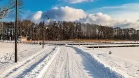 Port w Sztynorcie w zimowej scenerii, styczeń 2021 r. - zdjęcie 75