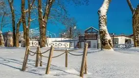 Port w Sztynorcie w zimowej scenerii, styczeń 2021 r. - zdjęcie 64