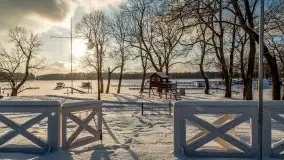 Port w Sztynorcie w zimowej scenerii, styczeń 2021 r. - zdjęcie 76