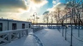 Port w Sztynorcie w zimowej scenerii, styczeń 2021 r. - zdjęcie 79