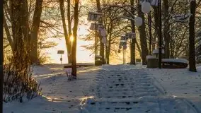 Zimowe Wydminy przed zachodem słońca, styczeń 2021 r. - zdjęcie 13