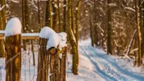 Zimowe Wydminy przed zachodem słońca, styczeń 2021 r. - zdjęcie 30