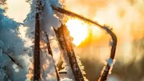 Zimowe Wydminy przed zachodem słońca, styczeń 2021 r. - zdjęcie 35