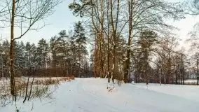 Zimowe Wydminy przed zachodem słońca, styczeń 2021 r. - zdjęcie 43