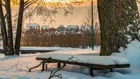 Zimowe Wydminy przed zachodem słońca, styczeń 2021 r. - zdjęcie 82