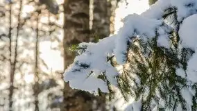 Kolejna dawka pięknej, mazurskiej zimy przy jez. Dargin - zdjęcie 4